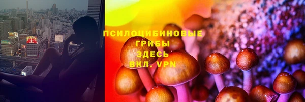 ПСИЛОЦИБИНОВЫЕ ГРИБЫ Баксан