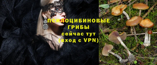 ПСИЛОЦИБИНОВЫЕ ГРИБЫ Баксан