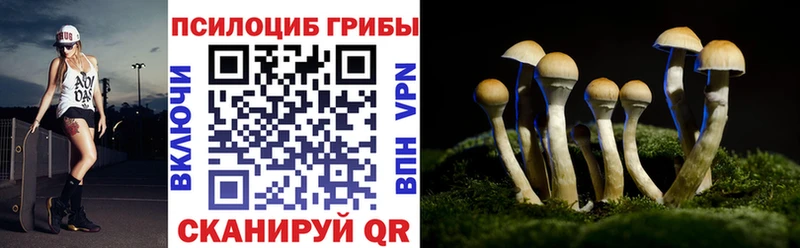 Галлюциногенные грибы Magic Shrooms  кракен зеркало  Новоуральск 